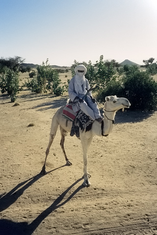 http://www.transafrika.org/media/Bilder Niger/tuareg hochzeit.jpg